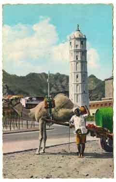 ���� ������ ��� ��� ����