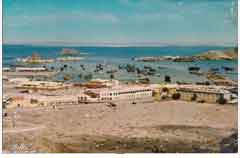 ���� ������ ��� ��� ����