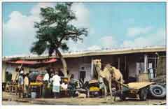 ���� ������ ��� ��� ����