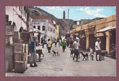 ���� ������ ��� ��� ����