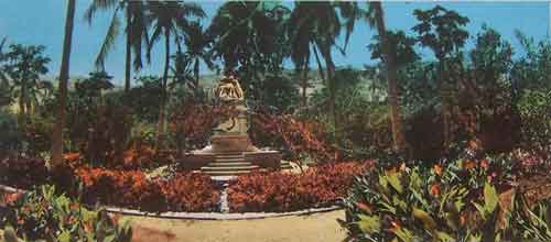 ���� ������ ��� ��� ����