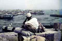 ���� ������ ��� ��� ����