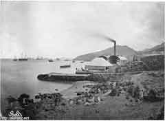 ���� ������ ��� ��� ����