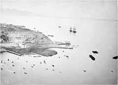 ���� ������ ��� ��� ����