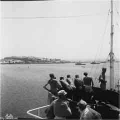 ���� ������ ��� ��� ����