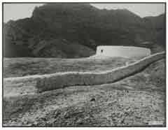 ���� ������ ��� ��� ����