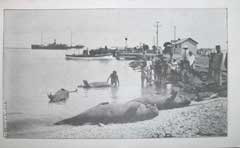 ���� ������ ��� ��� ����