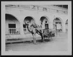 ���� ������ ��� ��� ����