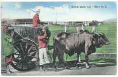 ���� ������ ��� ��� ����