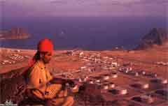 ���� ������ ��� ��� ����