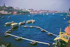 ���� ������ ��� ��� ����