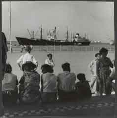 ���� ������ ��� ��� ����