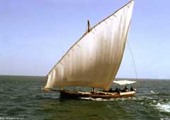 ������� ��� 184 �� ��� ��� ������� �������� ��� �������� ����� ��������