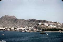 ���� ������ ��� ��� ����