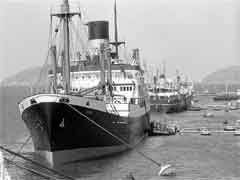 ���� ������ ��� ��� ����