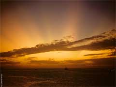 ���� ������ ��� ��� ����