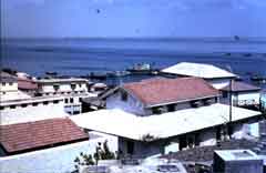 ���� ������ ��� ��� ����