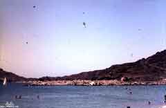 ���� ������ ��� ��� ����