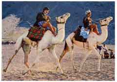 ���� ������ ��� ��� ����