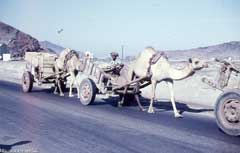 انقر للحصول على حجم اكبر