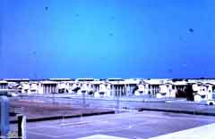 ���� ������ ��� ��� ����