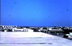 ���� ������ ��� ��� ����