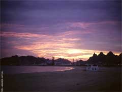 ���� ������ ��� ��� ����