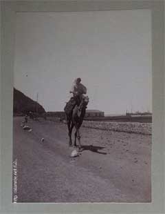 انقر للحصول على حجم اكبر