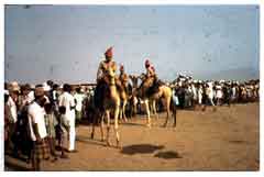 ���� ������ ��� ��� ����