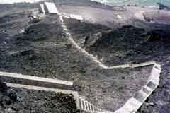 ���� ������ ��� ��� ����