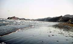 ���� ������ ��� ��� ����