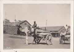 انقر للحصول على حجم اكبر