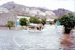 ���� ������ ��� ��� ����