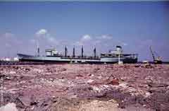 ���� ������ ��� ��� ����