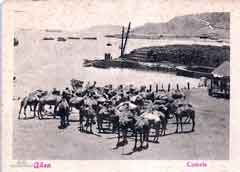 انقر للحصول على حجم اكبر