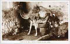 انقر للحصول على حجم اكبر