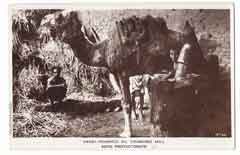 انقر للحصول على حجم اكبر