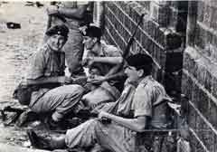 انقر للحصول على حجم اكبر