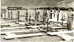 ���� ������ ��� ��� ����