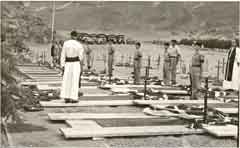 ���� ������ ��� ��� ����