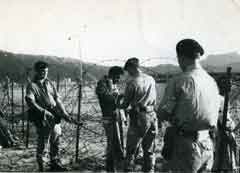 ���� ������ ��� ��� ����