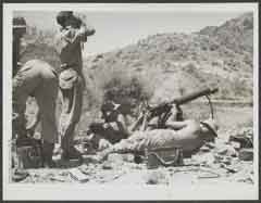 ���� ������ ��� ��� ����