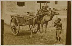 ���� ������ ��� ��� ����