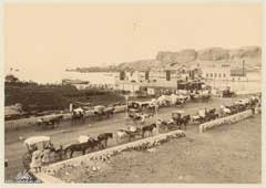 ���� ������ ��� ��� ����