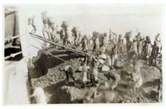 ���� ������ ��� ��� ����