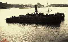 ���� ������ ��� ��� ����