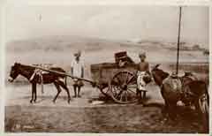 ���� ������ ��� ��� ����