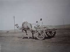 ���� ������ ��� ��� ����