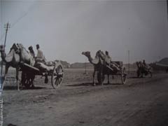 ���� ������ ��� ��� ����