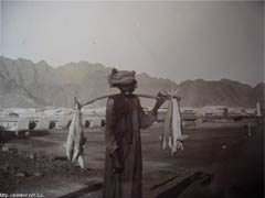 ���� ������ ��� ��� ����